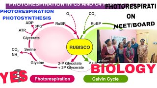 PHOTORESPIRATION PHOTOSYNTHESISNEETBOARDBIOLOGYMOST IMPORTANTAB ALL IS WELL [upl. by Tyne]