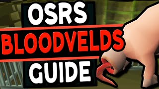 The Ultimate Bloodvelds Guide Old School Runescape [upl. by Notlit13]