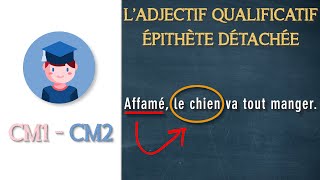 Ladjectif qualificatif épithète détachée  CM1 CM2  Petits Savants [upl. by Airdnekal]