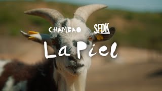 Chambao amp SFDK  La Piel Videoclip Oficial [upl. by Saqaw]