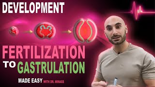 Introduction to Embryology  Fertilisation to Gastrulation Easy to Understand [upl. by Varney]