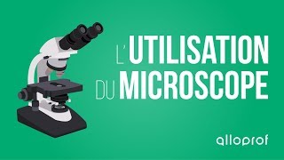 Lutilisation du microscope  Sciences  Alloprof [upl. by Atikihc578]