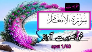 tilawa  surat al anaamFull Sheikh Shuraim WithArabic HD lby munna bhai jaan tilawat tv [upl. by Ellenrad]