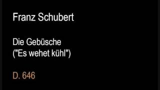 Schubert D646 Die Gebüsche Es wehet kühlwmv [upl. by Schechinger]