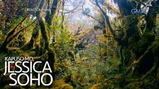 Kapuso Mo Jessica Soho Nakamamanghang mossy forest sa Compostela Valley [upl. by Gemina]