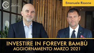 Investire in Forever Bambù aggiornamento Marzo 2021 [upl. by Staley]