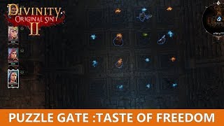 Puzzle Door Taste of freedom puzzle Divinity Original Sin 2 [upl. by Llenrod]