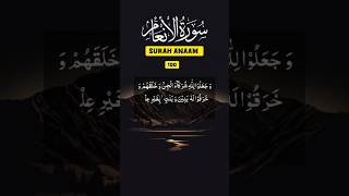 Surah anaam Aya 100  surah anaam with Urdu translation  surah qurantilawat [upl. by Einahpehs]