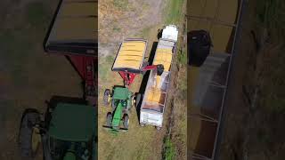 Midharvest in the US 🚜 shortsvideo farm harvest [upl. by Blanch367]