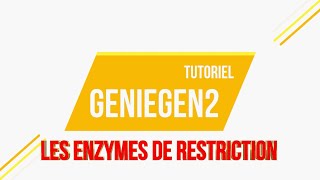 eSVT Tutoriel Geniegen2  Le dépistage dune maladie génétique par les enzymes de restriction [upl. by Ravaj]