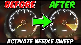 How to activate Gauge test  Needle sweep in Skoda vehicles [upl. by Darbie]