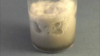 Catalytic Decomposition of Cellulose Cotton Fibers by Hydrogen Peroxide H2O2 [upl. by Madella]