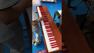 Electric piano with red keys [upl. by Ytomit]