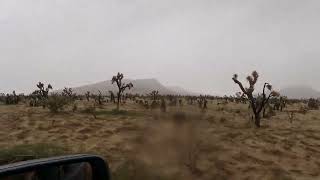 TRX on the Mojave trail with snow and rain [upl. by Teemus]