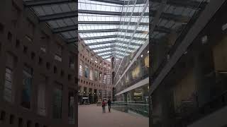 VPL lofiasmr vancouver publiclibrary vancouvercity asmrvlog asmrvideo library vancouvervibes [upl. by Odarbil510]