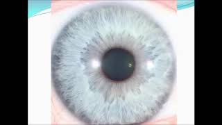 Iridology Introduction [upl. by Atnuahc]