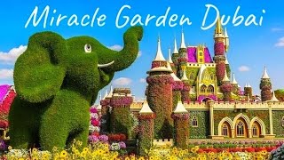 САД ЧУДЕС В ДУБАЕ Miracle garden Dubai 2024 4К [upl. by Lotsirb671]