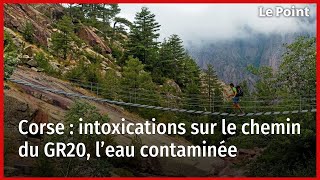 Corse  intoxications sur le chemin du GR20 l’eau contaminée [upl. by Notnroht]