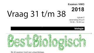 Biologie examen VWO 2018 tweede tijdvak vraag 31 tm 38 [upl. by Aicilehp]