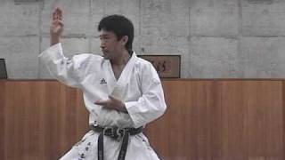 Wado Ryu Karate Kata 和道流 形 Takahashi dojo JapanMexicoDF [upl. by Aronoel]