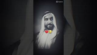 sheikh Zayed sheikh Mohamed  Al nahyan family azzaalshamsi8668 Shaikhavo9ql [upl. by Gorlin726]