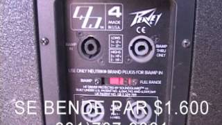 SPEAKERS DE BENTA QW4 PEAVEY [upl. by Steep]