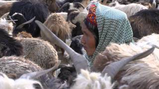 Shimshal Valley [upl. by Einberger]