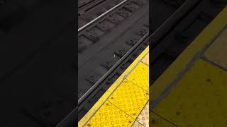 a floss pick on nyc subway tracks 26 [upl. by Ahlgren]