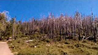 Hiked up to the top of Cuyamaca Peak via Lookout Fire Road in Cuyamaca Rancho State Park [upl. by Ayot939]