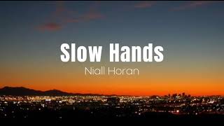 Niall Horan  Slow Hands  1 HOUR [upl. by Ly24]