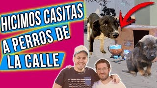 Crean casitas para perros de la calle para que no pasen frió  Mensajeros urbanos [upl. by Ahsiyn]