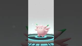 EVOLVING A SHINY CLEFAIRY INTO A SHINY CLEFABLE pokemongo shinypokemon clefable [upl. by Reagan937]