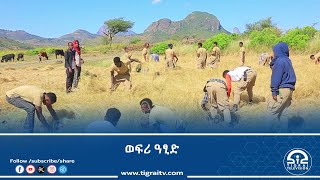 ሓይልታት ፀጥታ ትግራይ ኣብ ወረዳታት ዓድዋን ሓሓይለን ዝባፅሑ ኣዝርእቲ ስድራ ስዉኣት ብወፍሪ ዓፂድ ሓጊዞም  ቴሌቪዥን ትግራይ [upl. by Lach]