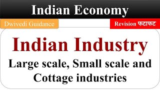 Indian Industry Large Scale Industries Small Scale Industries Cottage Industries Indian Economy [upl. by Gnok]