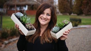 Succulent Gift Boxes  Giveaway 🌿🌵💚  Garden Answer [upl. by Terrag]