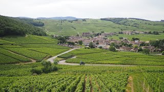 In the vineyard of the Mâconnais Bourgogne France [upl. by Ecnarepmet]