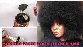 MORINGA PASTE FOR HEALTHIER THICKER NATURAL HAIR GROWTH [upl. by Aliuqat2]