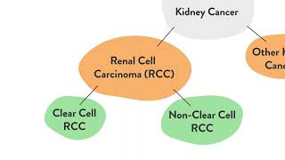 What is Clear Cell Renal Cell Carcinoma [upl. by Aikimat762]