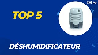 Les 5 Meilleur Déshumidificateur 2024  Top 5 Déshumidificateur Modèles [upl. by Canotas]