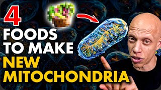 4 Foods to Make New Mitochondria Scientific Proof  Mastering Diabetes [upl. by Asiilanna842]