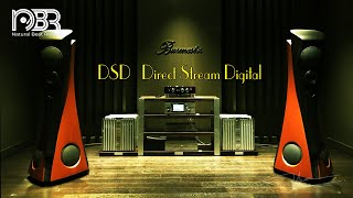 DSD  Direct Stream Digital  Greatest Audiophile Music Selection  NbR Music [upl. by Lachance]