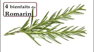 Les 4 bienfaits du ROMARIN [upl. by Saidel]