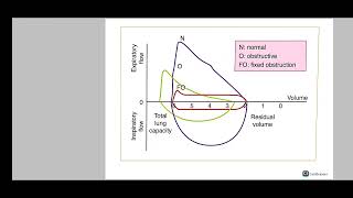 Pulmonology Basics [upl. by Aryek]