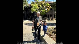 theo walk 2024nov15 san carlos california USA compiled in vancouver bc canada [upl. by Netsirc111]