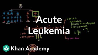 Acute leukemia  Hematologic System Diseases  NCLEXRN  Khan Academy [upl. by Nadirehs]