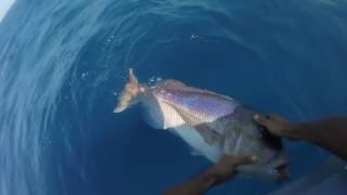 Sardinia Spydro fishing video [upl. by Notsyrb]