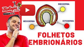 FOLHETOS EMBRIONÁRIOS  EMBRIOLOGIA [upl. by Gnahk]