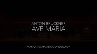 Bruckner Ave Maria [upl. by Enidlarej]