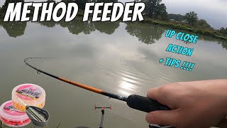 Autumn Method Feeder Fishing for Carp  UP CLOSE VIDEO FOOTAGE  TIPS [upl. by Ezechiel]