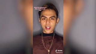 Best of Museo De Filipino Tiktok Challenge 2020 Must Watch [upl. by Sikras31]